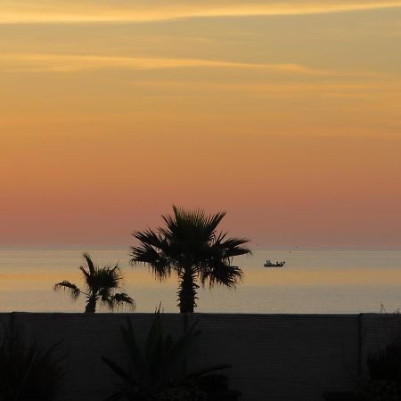 Ground Floor Studio With Access To Beach And Pool Le Barcares Exterior photo